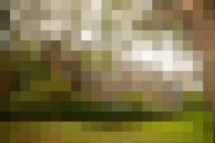 Vechtplantsoen 18 3 Utrecht thumbnail 52