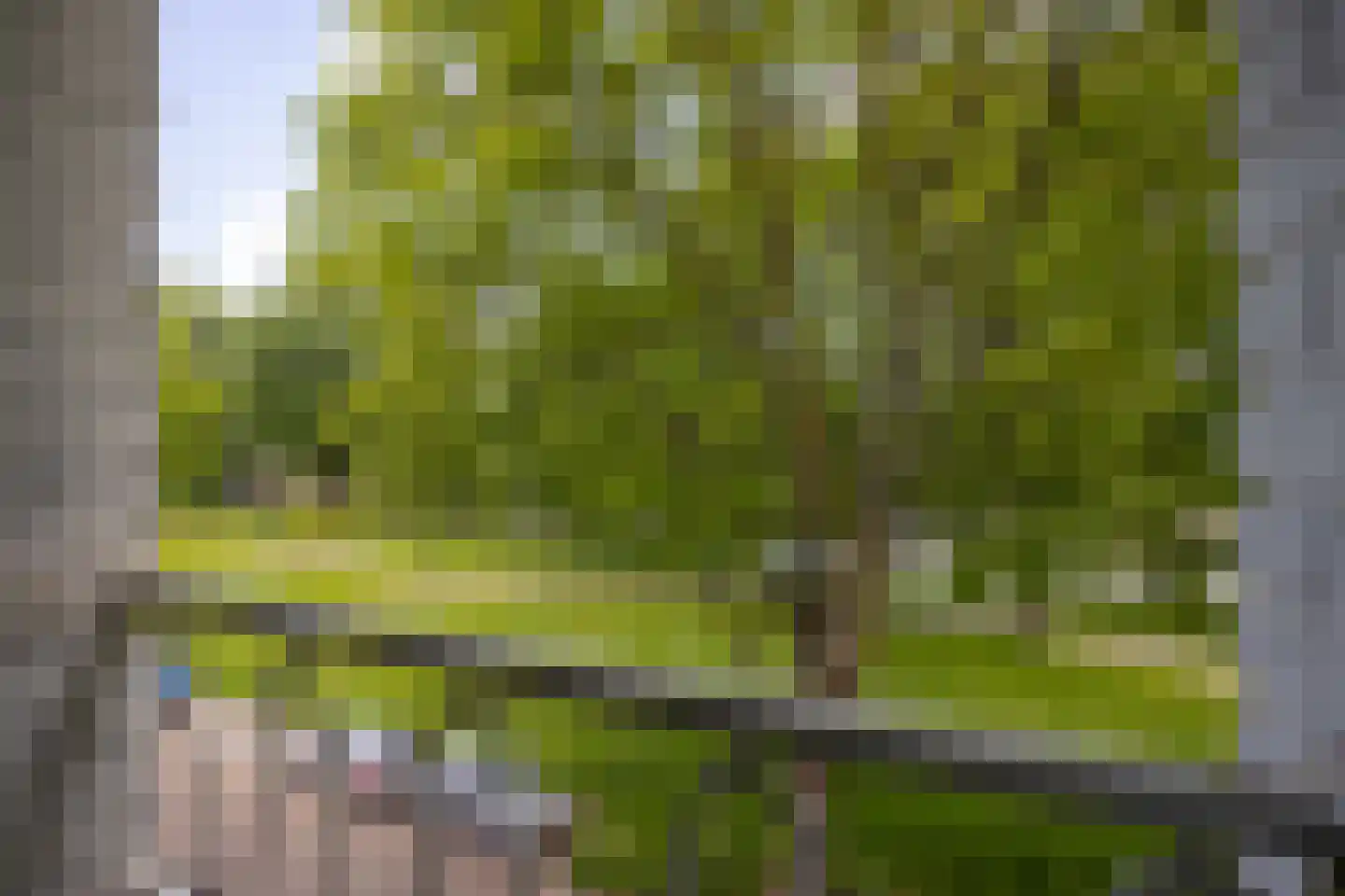 Vechtplantsoen 22 2 Utrecht thumbnail 16