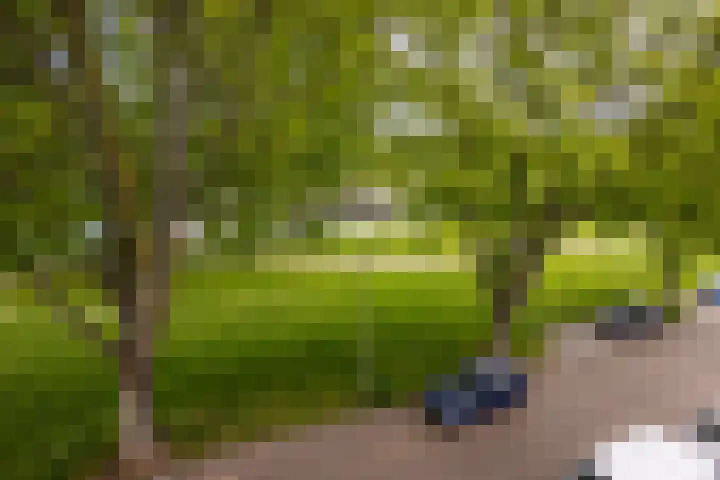 Vechtplantsoen 22 2 Utrecht thumbnail 17