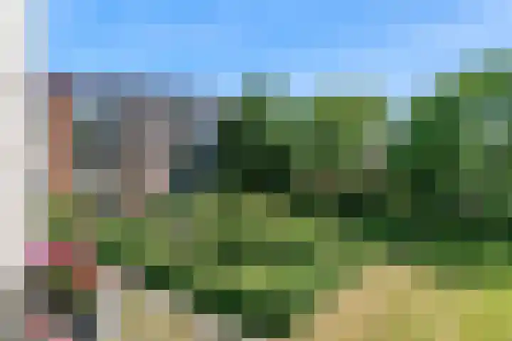 Vechtplantsoen 22 2 Utrecht thumbnail 24