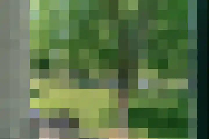 Vechtplantsoen 22 2 Utrecht thumbnail 25