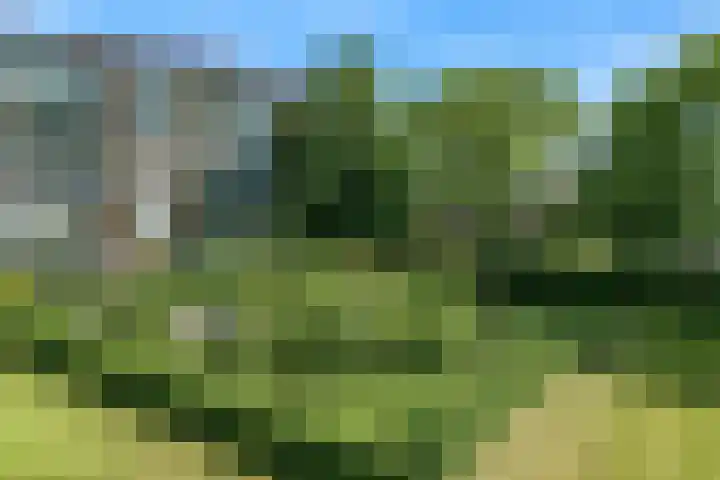 Vechtplantsoen 22 2 Utrecht thumbnail 31
