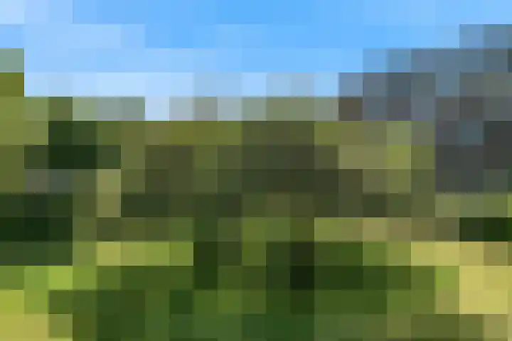 Vechtplantsoen 22 2 Utrecht thumbnail 32