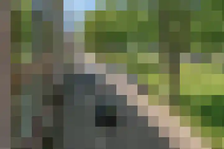 Vechtplantsoen 22 2 Utrecht thumbnail 4