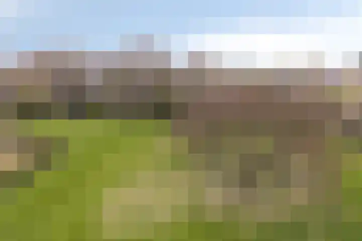 Vechtplantsoen 24 1 Utrecht thumbnail 11