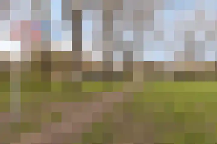 Vechtplantsoen 24 1 Utrecht thumbnail 25