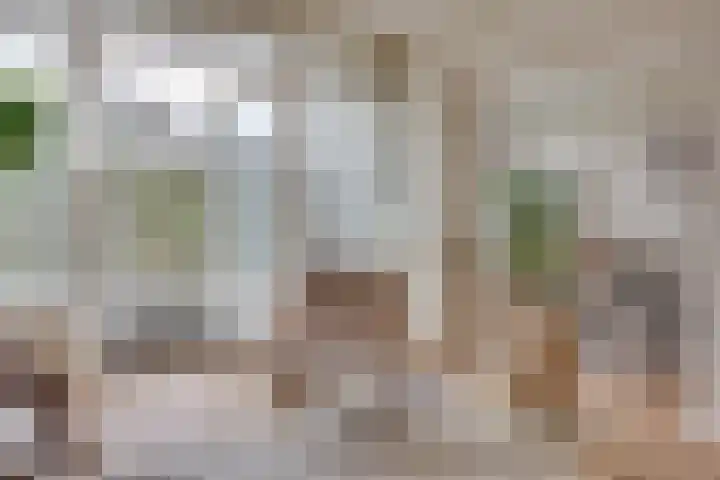 Vechtplantsoen 26 Utrecht thumbnail 11