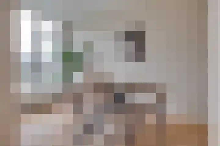 Vechtplantsoen 26 Utrecht thumbnail 17