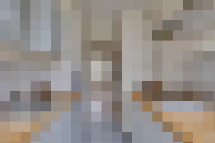Vechtplantsoen 26 Utrecht thumbnail 21