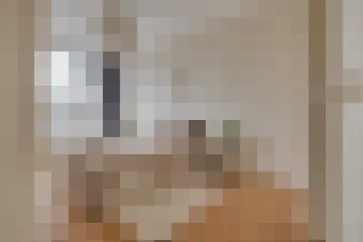 Vechtplantsoen 26 Utrecht thumbnail 22