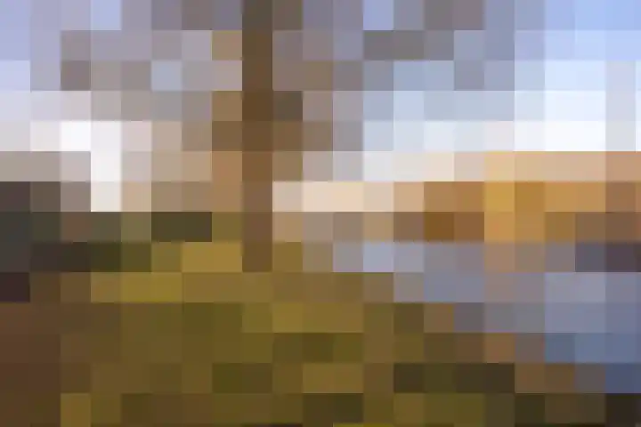 Vechtplantsoen 26 Utrecht thumbnail 34