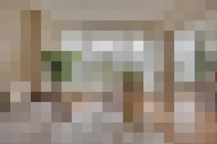 Vechtplantsoen 26 Utrecht thumbnail 8