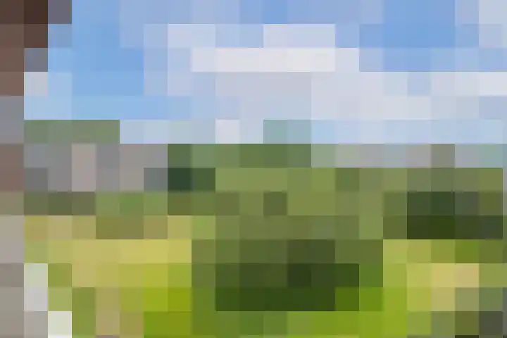 Vechtplantsoen 30 2 Utrecht thumbnail 11