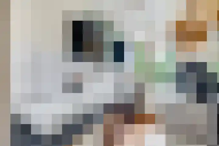 Vechtplantsoen 30 2 Utrecht thumbnail 15