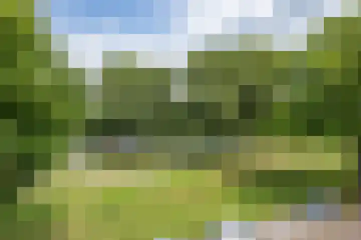 Vechtplantsoen 30 2 Utrecht thumbnail 22