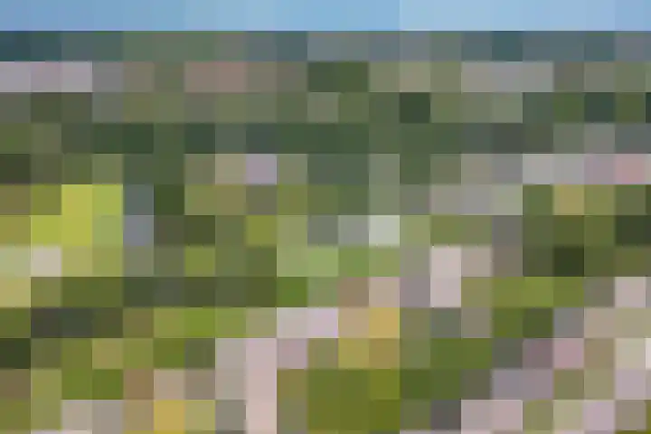 Vechtplantsoen 30 2 Utrecht thumbnail 27