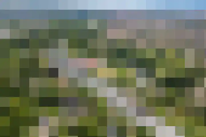 Vechtplantsoen 30 2 Utrecht thumbnail 28