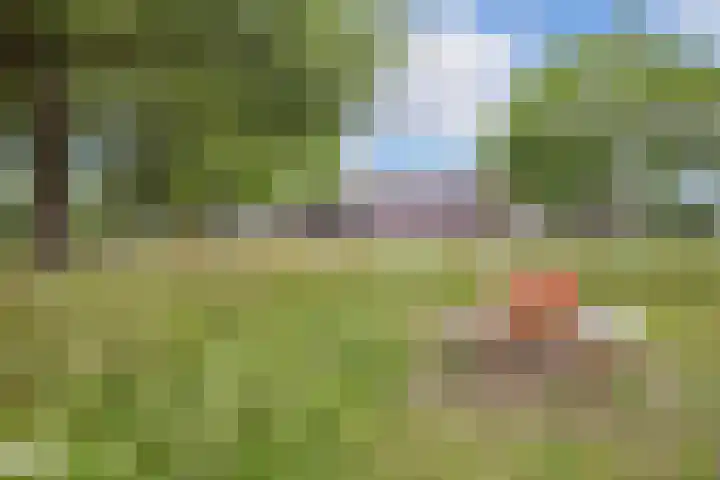 Vechtplantsoen 30 2 Utrecht thumbnail 29