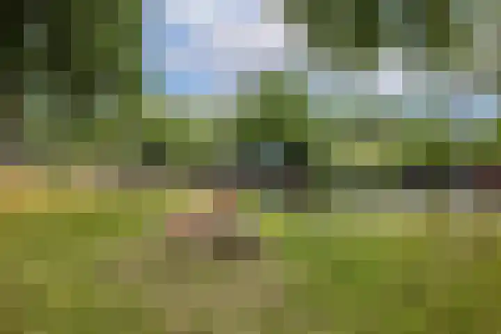 Vechtplantsoen 30 2 Utrecht thumbnail 30