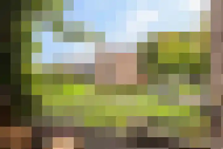 Vechtplantsoen 32 1 Utrecht thumbnail 26
