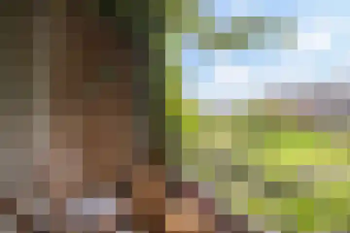 Vechtplantsoen 32 1 Utrecht thumbnail 27
