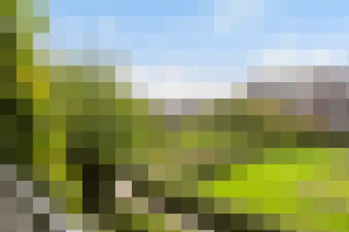 Vechtplantsoen 32 1 Utrecht thumbnail 28