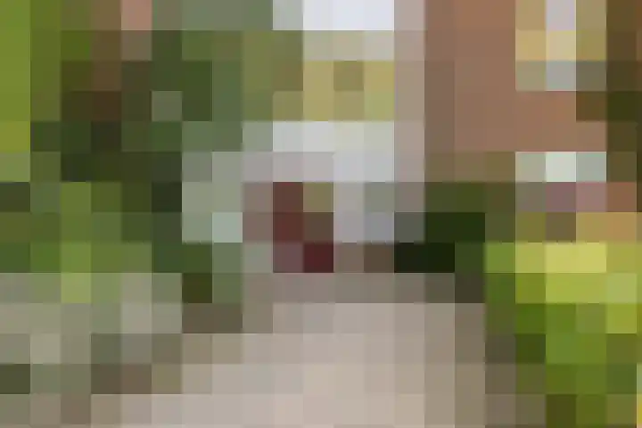 Vechtplantsoen 32 1 Utrecht thumbnail 29