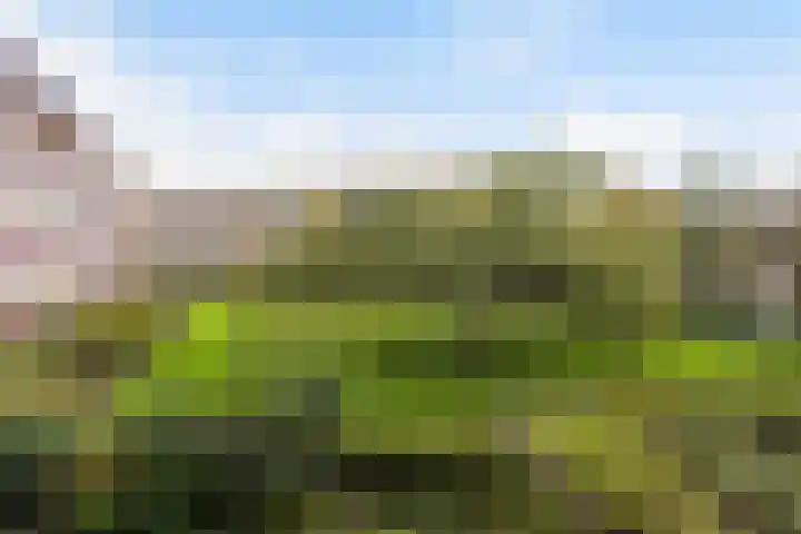 Vechtplantsoen 32 1 Utrecht thumbnail 31