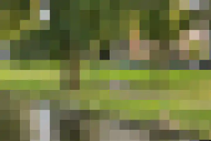 Vechtplantsoen 32 1 Utrecht thumbnail 32