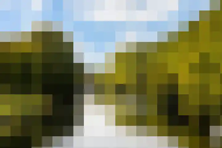 Vechtplantsoen 32 1 Utrecht thumbnail 34