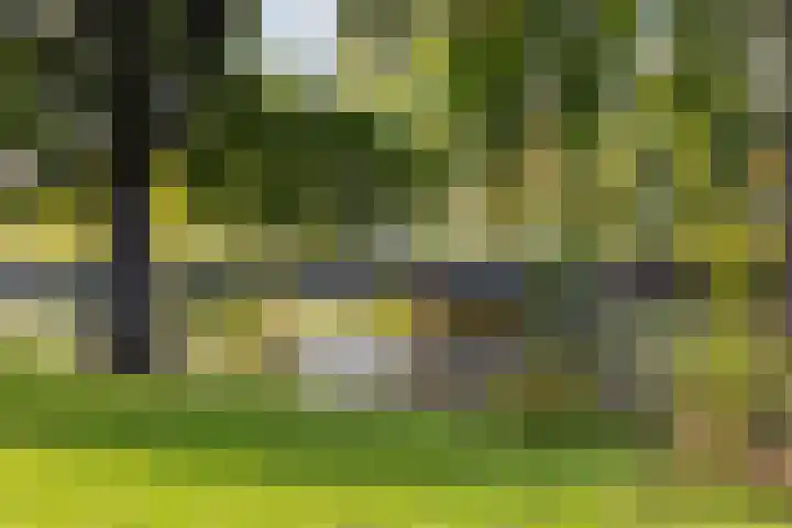 Vechtplantsoen 32 1 Utrecht thumbnail 35