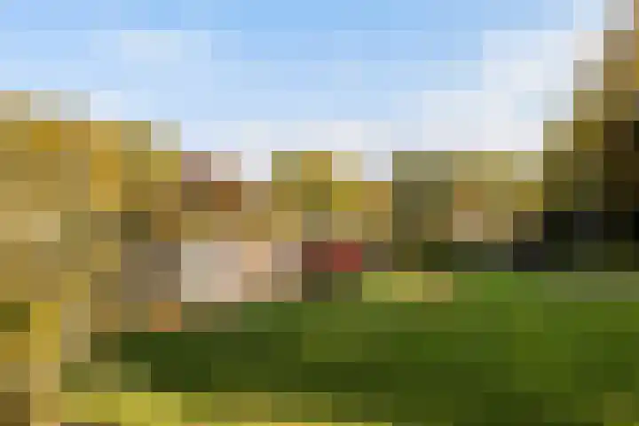 Vechtplantsoen 32 1 Utrecht thumbnail 36
