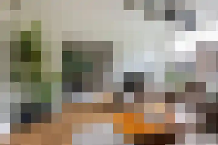 Vechtplantsoen 32 1 Utrecht thumbnail 6