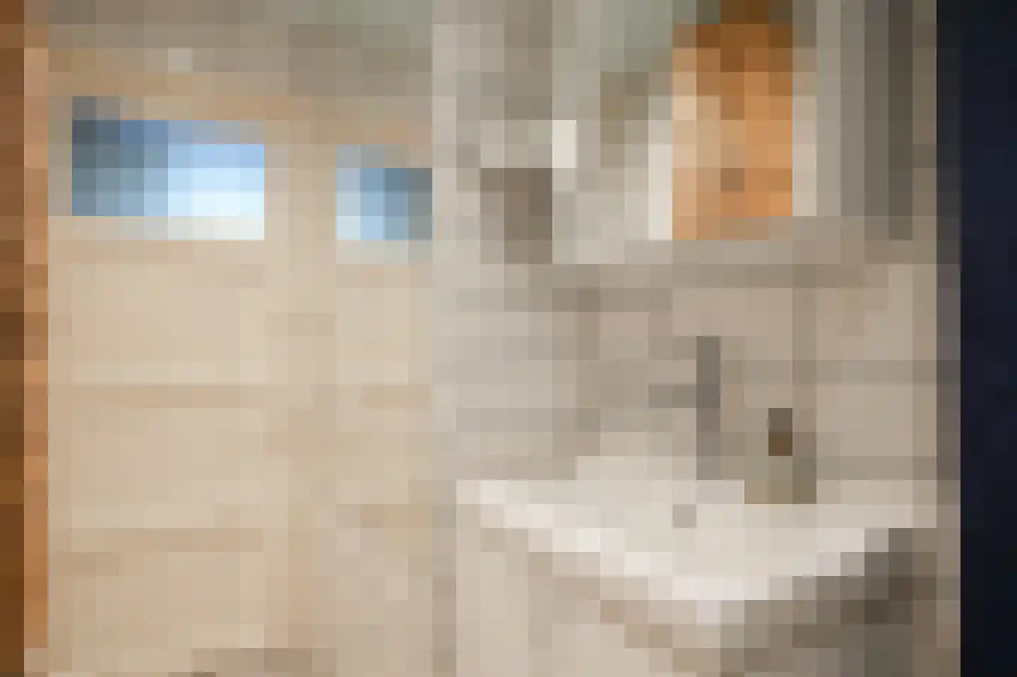 Vechtplantsoen 40 2 Utrecht thumbnail 24