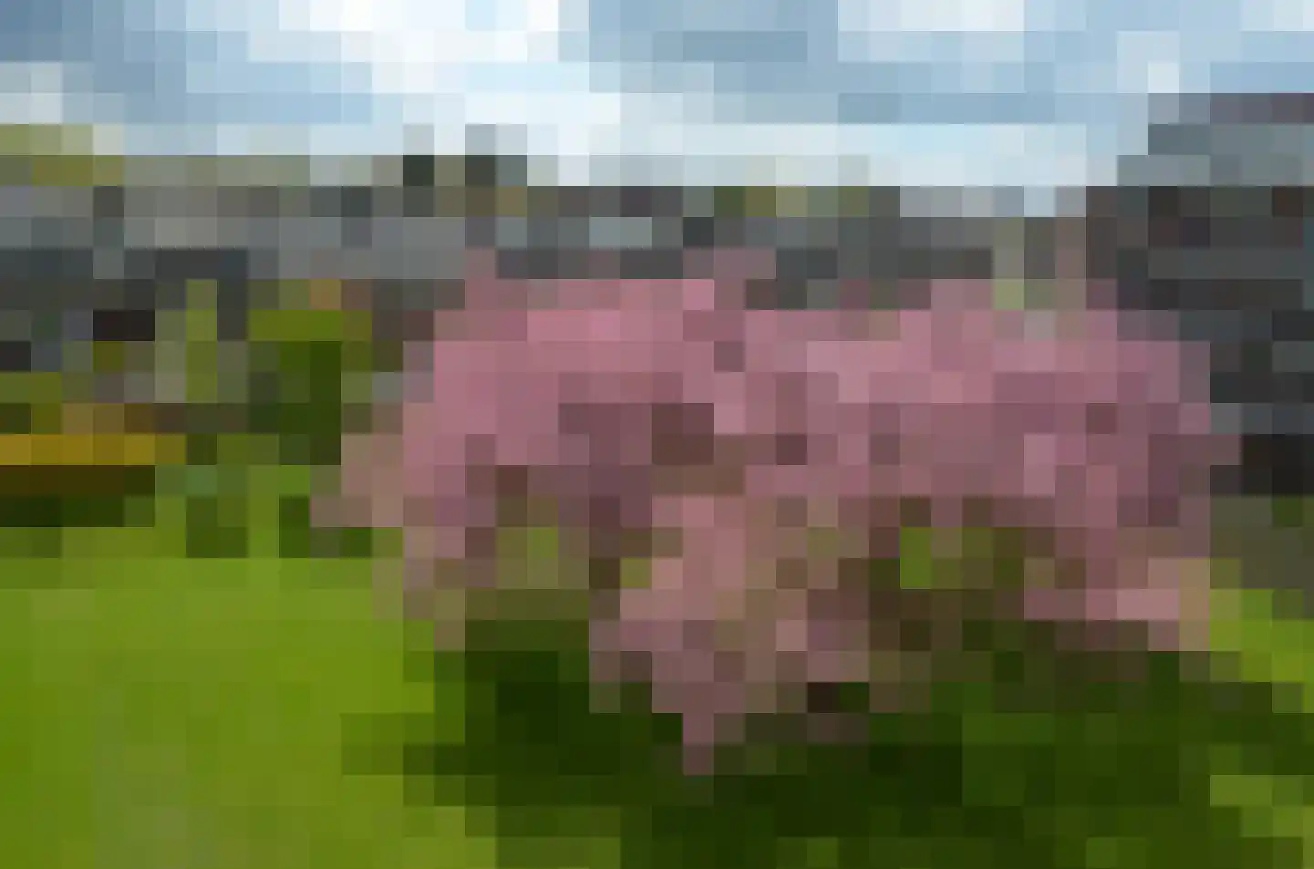 Vechtplantsoen 40 2 Utrecht thumbnail 39