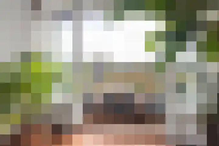 Vechtplantsoen 44 2 Utrecht thumbnail 11