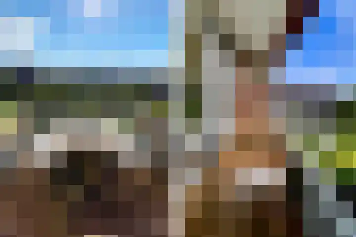 Vechtplantsoen 44 2 Utrecht thumbnail 12