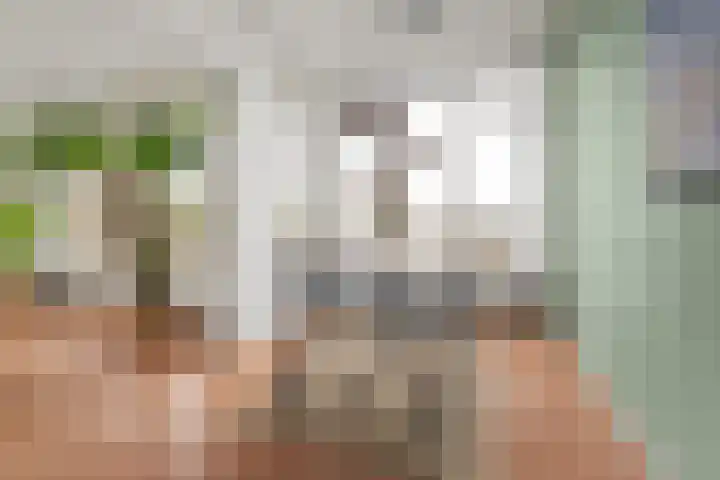 Vechtplantsoen 44 2 Utrecht thumbnail 15