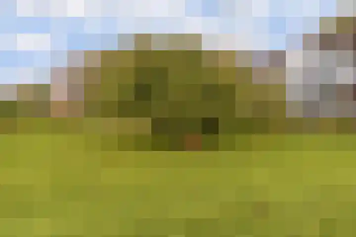Vechtplantsoen 44 2 Utrecht thumbnail 30