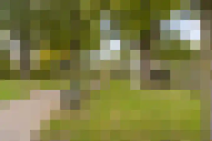 Vechtplantsoen 44 2 Utrecht thumbnail 31