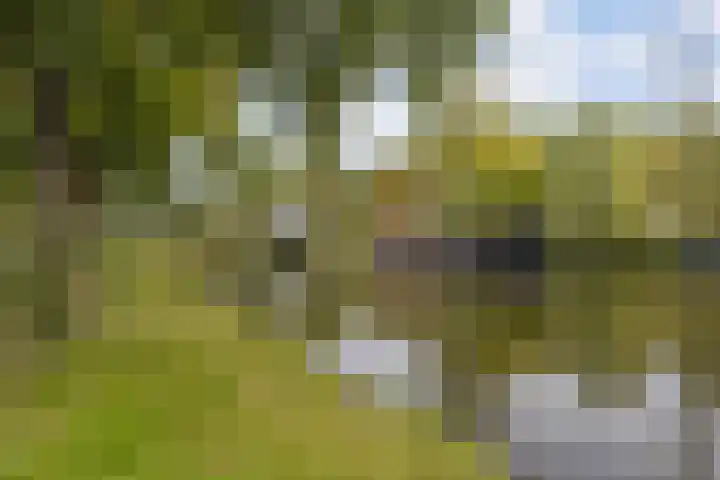 Vechtplantsoen 44 2 Utrecht thumbnail 32