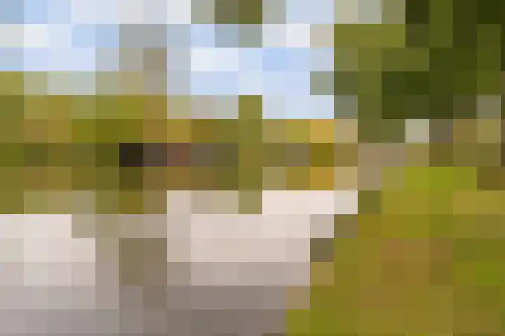 Vechtplantsoen 44 2 Utrecht thumbnail 33