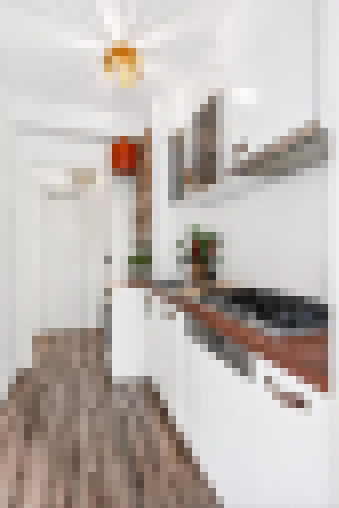 Vechtplantsoen 48 Utrecht thumbnail 13