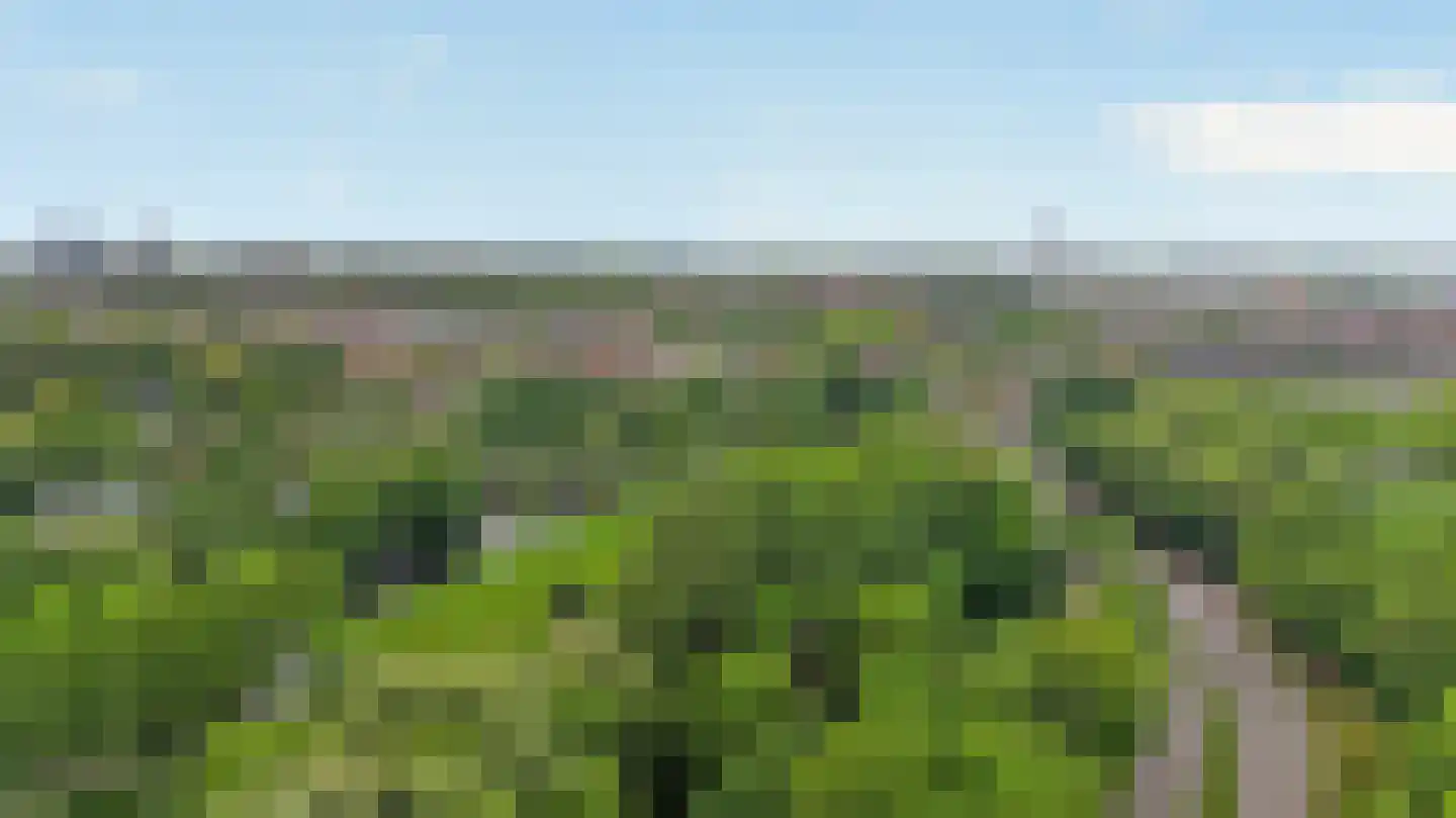 Vechtplantsoen 48 Utrecht thumbnail 23