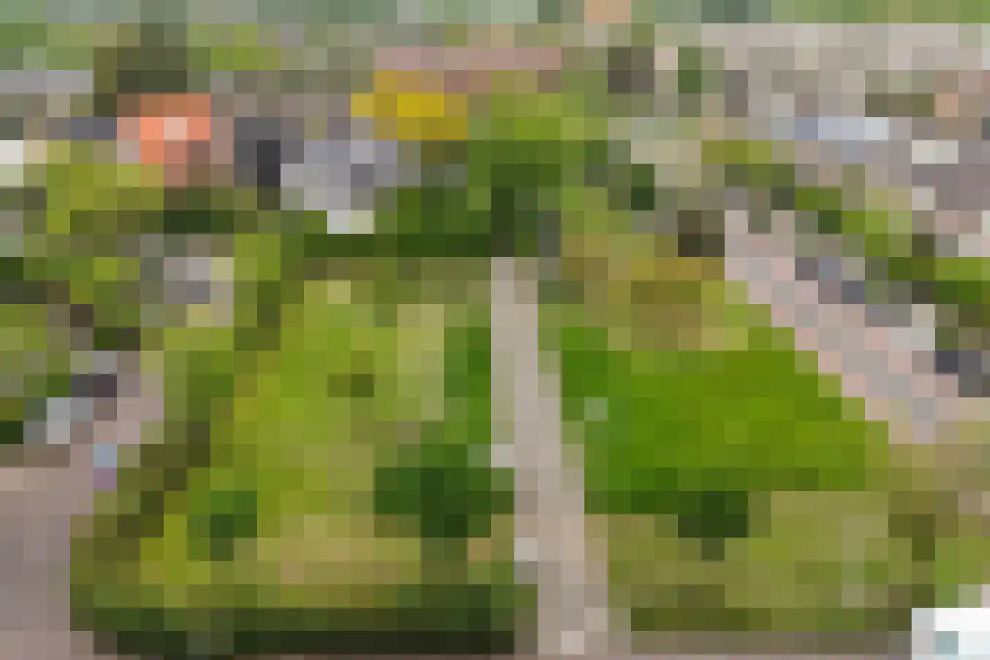 Vechtplantsoen 48 Utrecht thumbnail 24