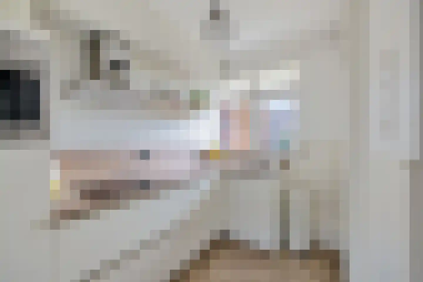 Vechtplantsoen 50 1 Utrecht thumbnail 20