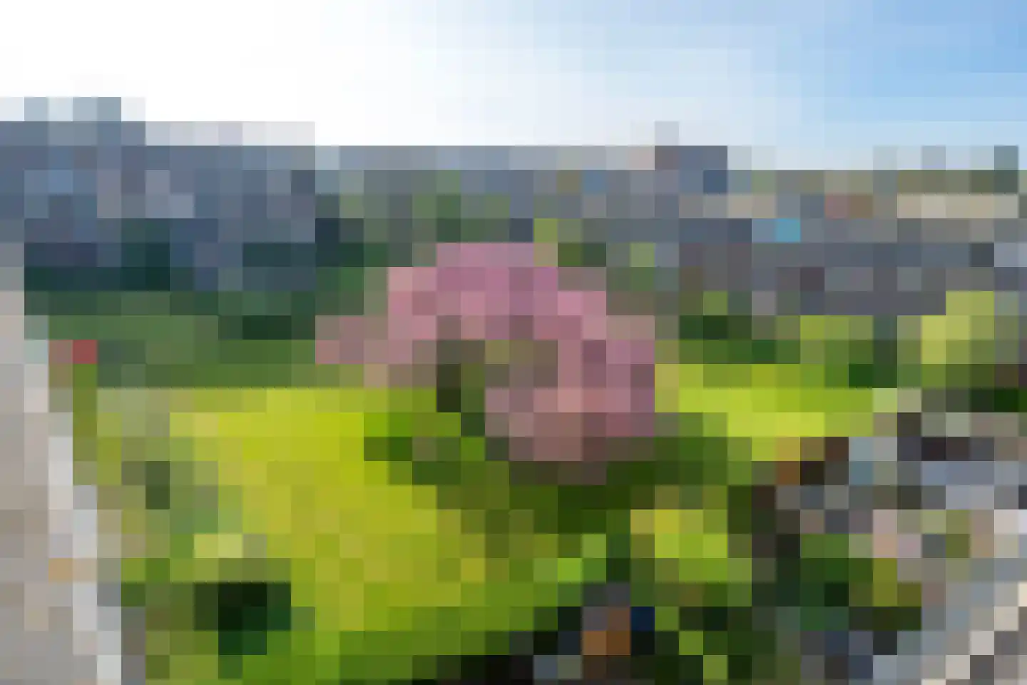 Vechtplantsoen 50 1 Utrecht thumbnail 36