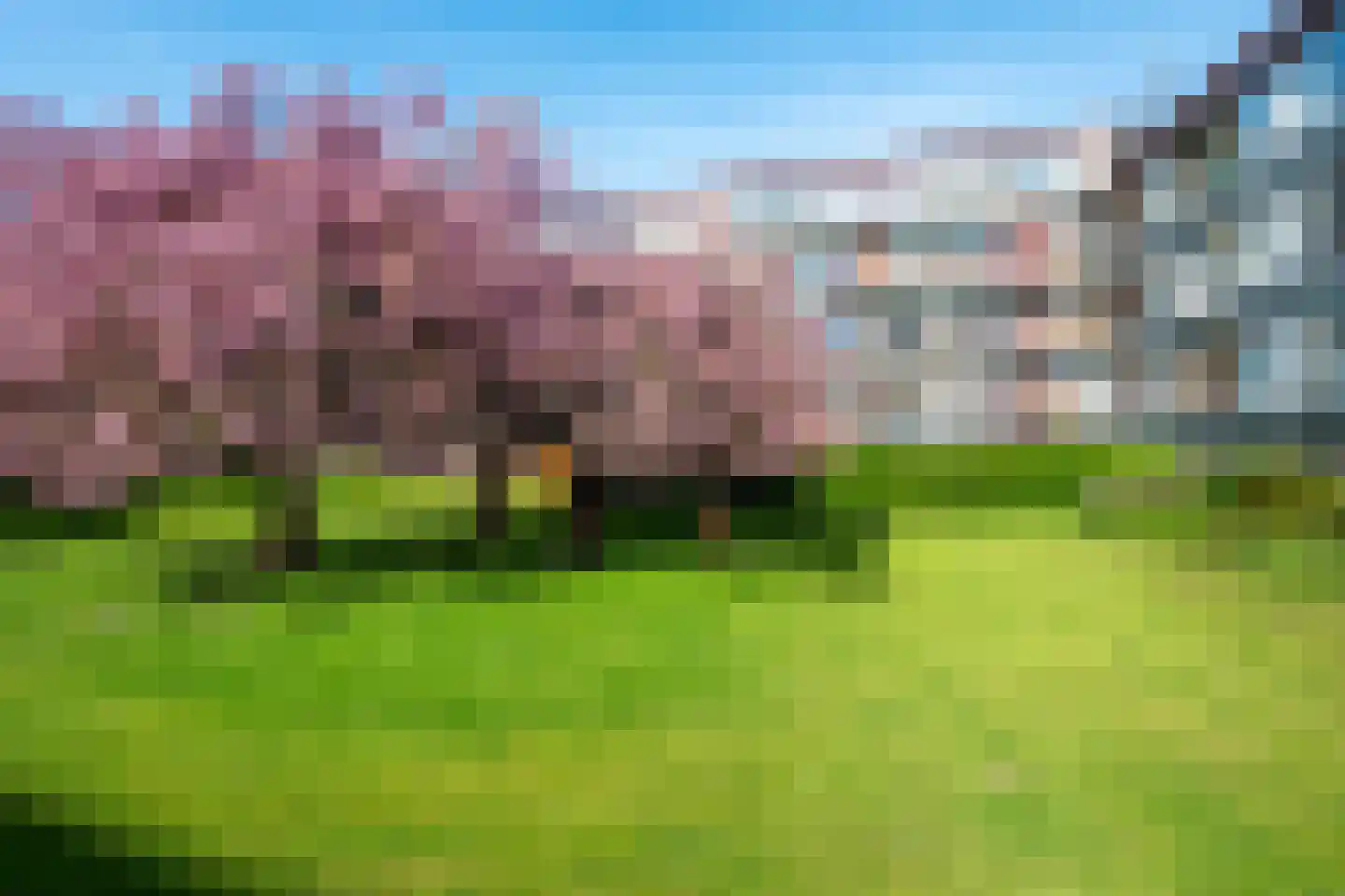 Vechtplantsoen 50 1 Utrecht thumbnail 39