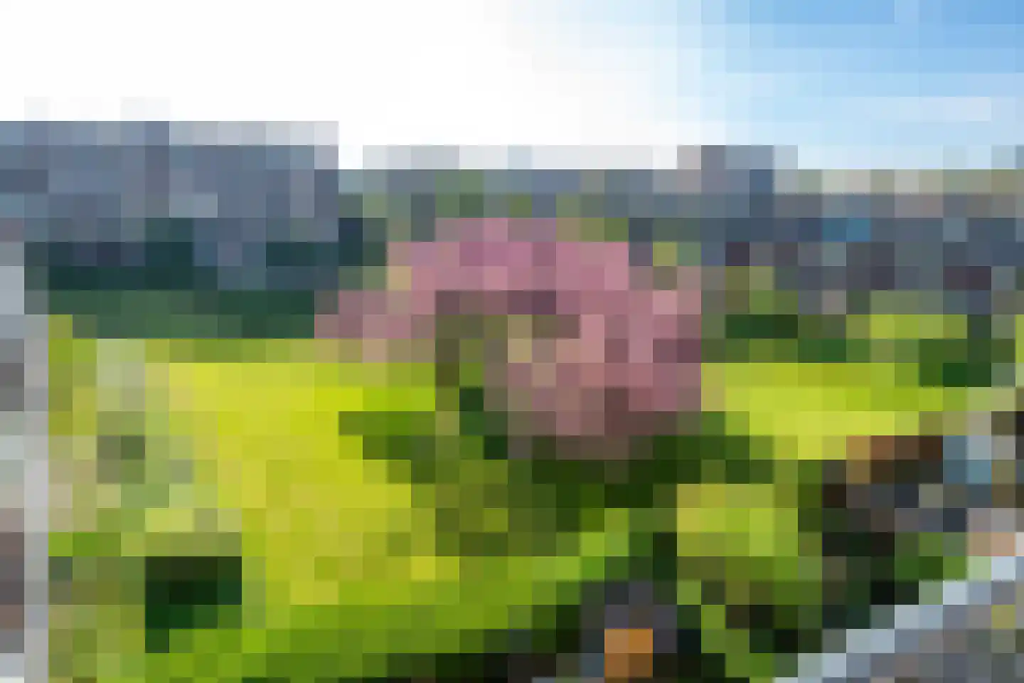 Vechtplantsoen 50 1 Utrecht thumbnail 40