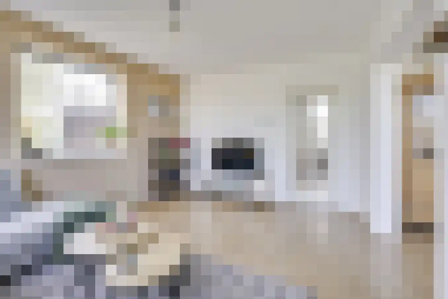 Vechtplantsoen 50 3 Utrecht thumbnail 9